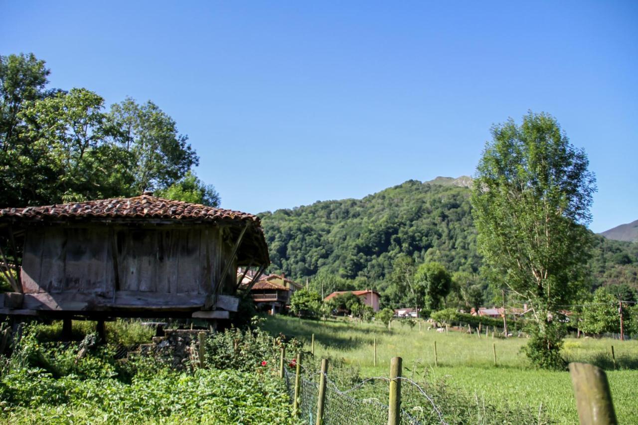 Casa Clarita Villa Cano ภายนอก รูปภาพ